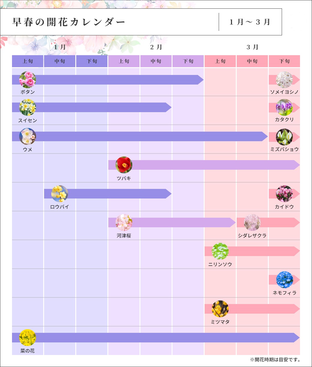 早春の開花カレンダー