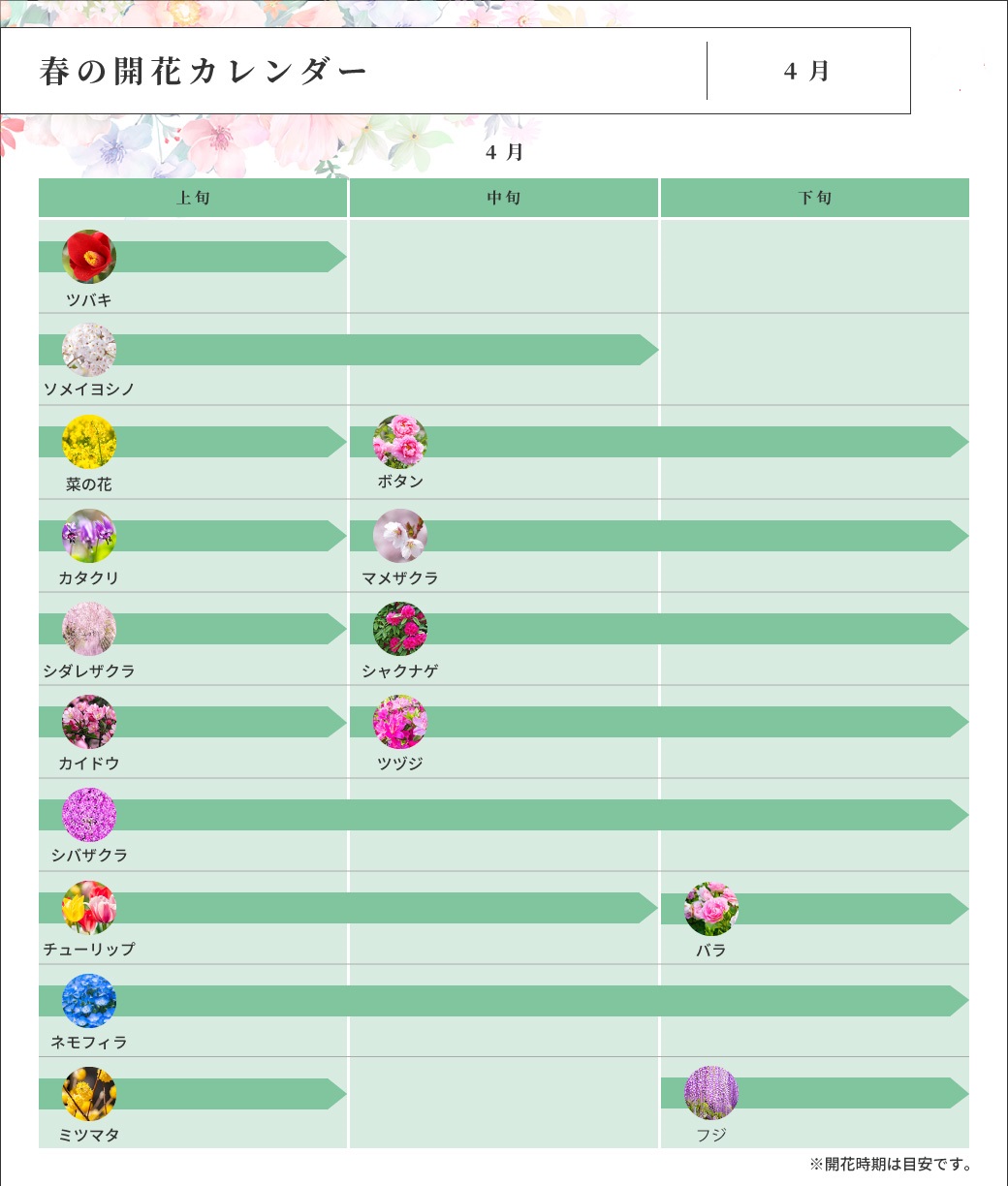 春の開花カレンダー