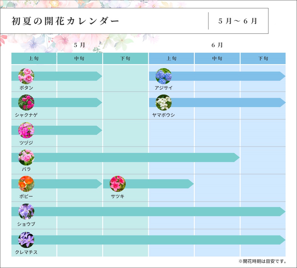 初夏の開花カレンダー
