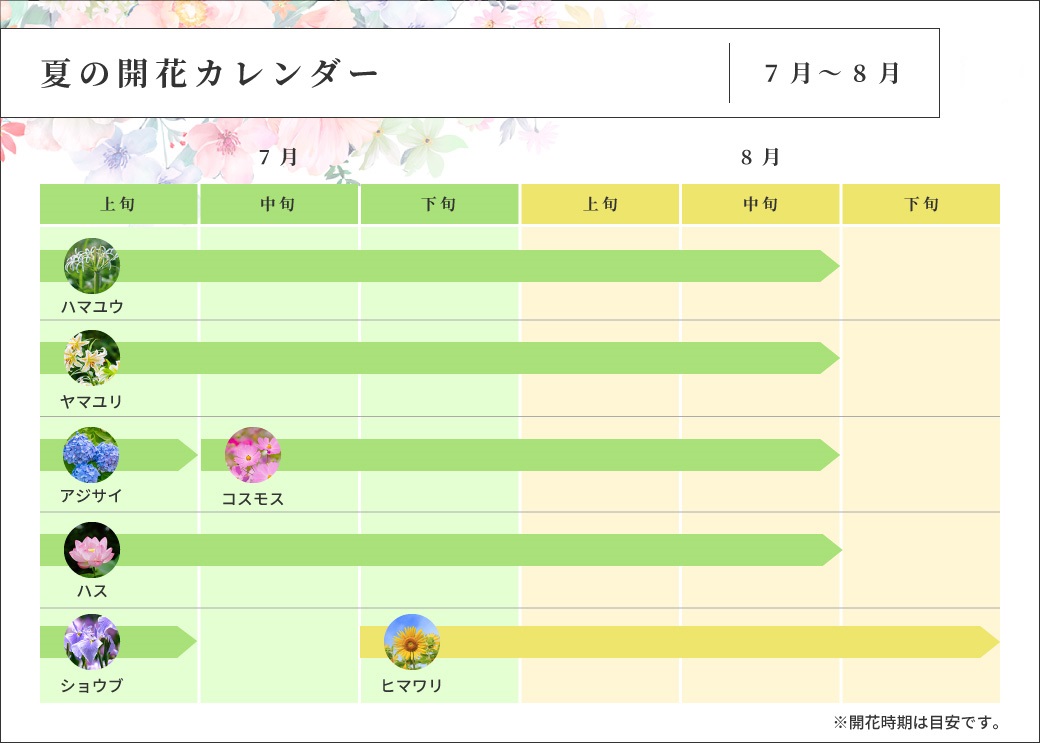 夏の開花カレンダー